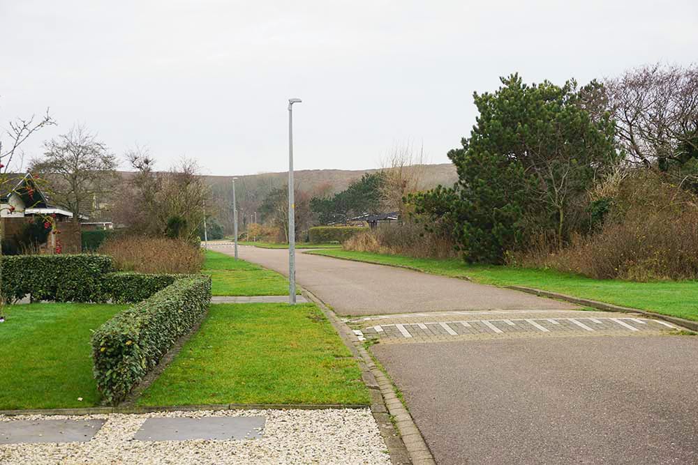 Photo 36 of Parnassia 34