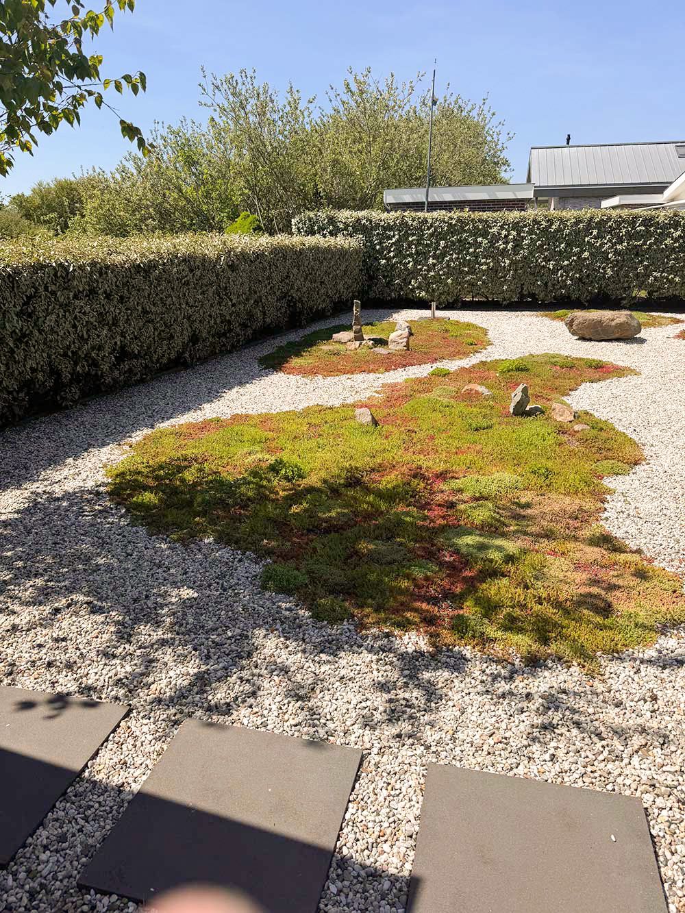 Photo 38 of Parnassia 34