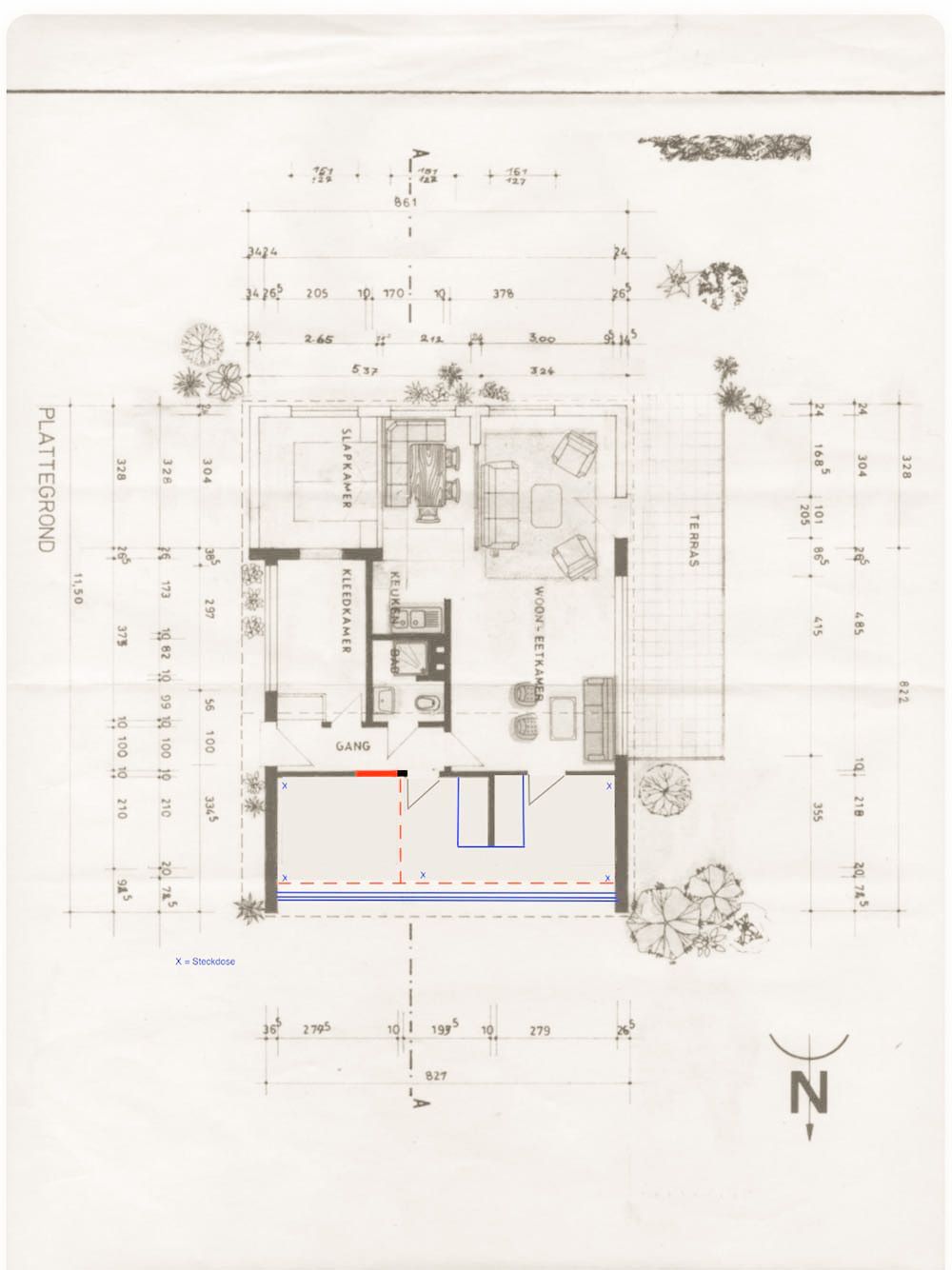 Photo 40 of Parnassia 34