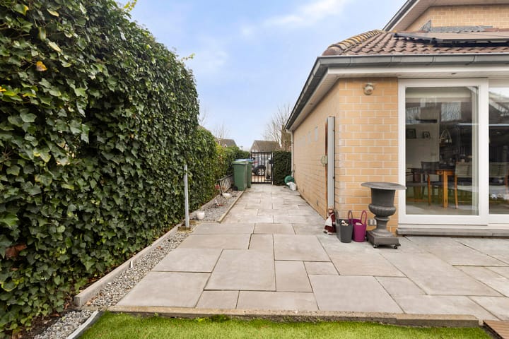 Foto 28 van Dansvlinder 4