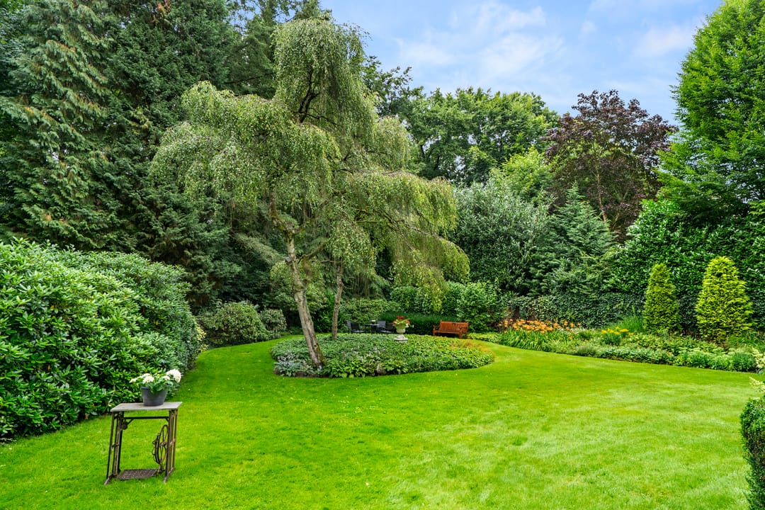 Photo 11 of Oude Zoomweg 15