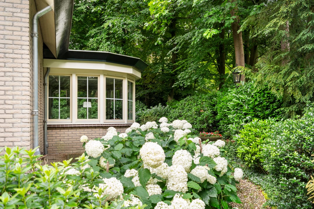 Photo 17 of Oude Zoomweg 15