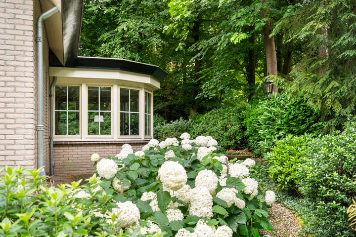 Foto 17 van Oude Zoomweg 15