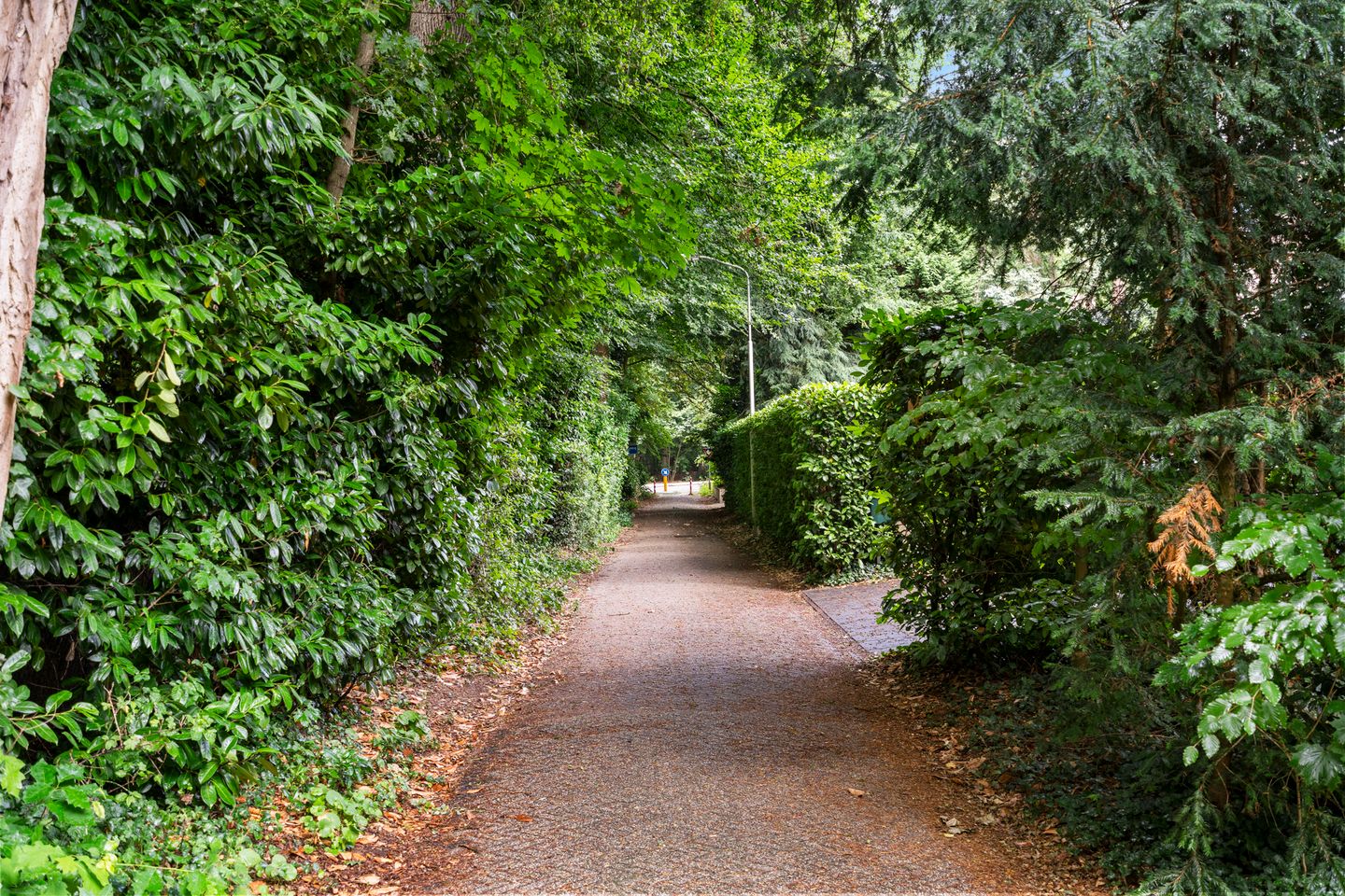 Photo 29 of Oude Zoomweg 15