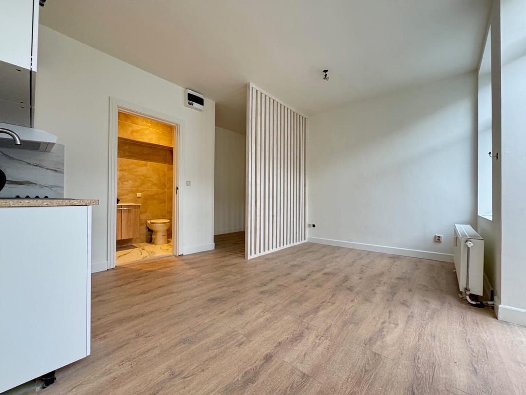 Foto 2 van Paulus Potterstraat 167-D