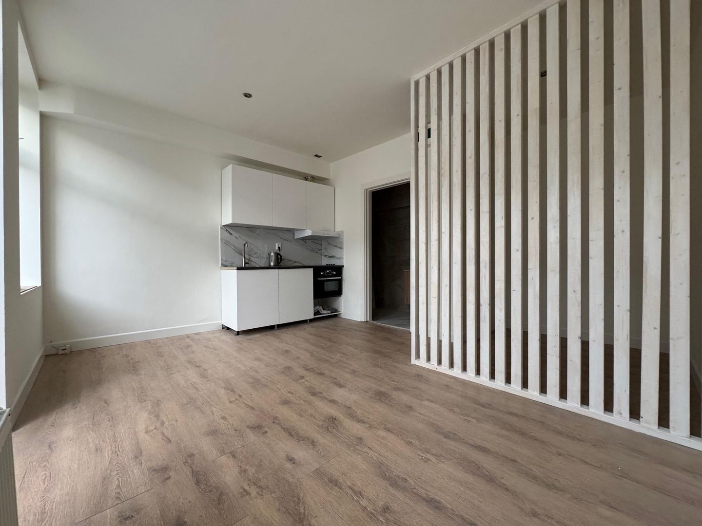 Foto 5 van Paulus Potterstraat 167-D