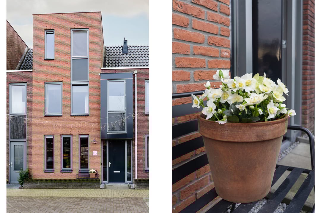 Photo 7 of Hollands Hoenlaan 39