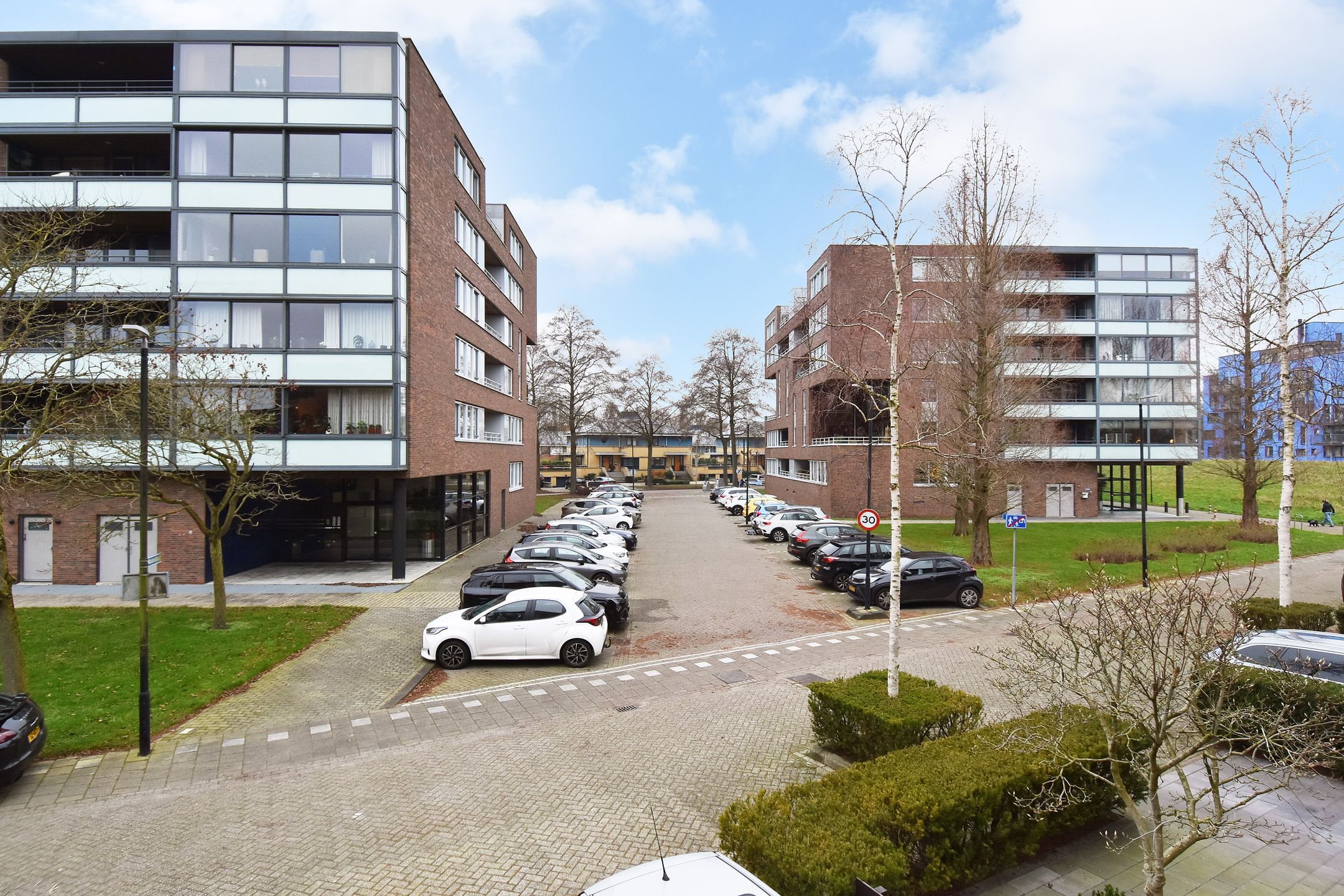 Foto 33 van Mahoniehout 12