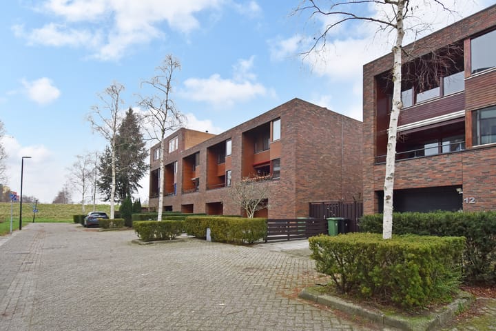 Foto 49 van Mahoniehout 12