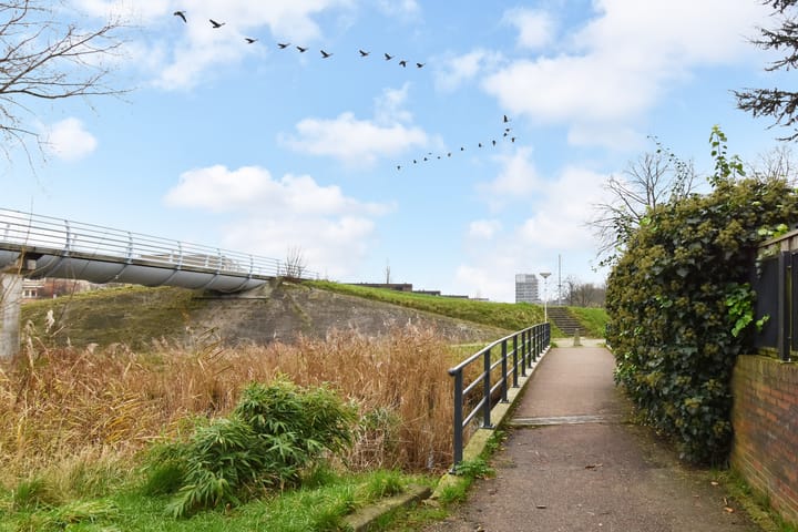 Foto 50 van Mahoniehout 12