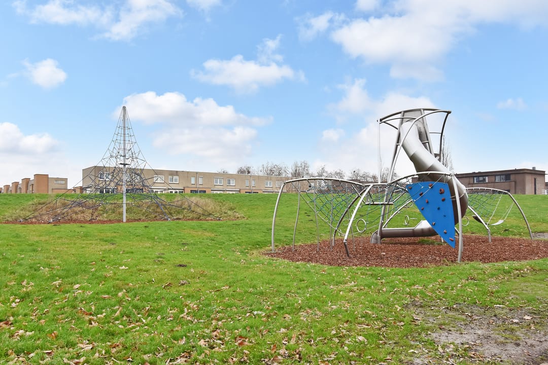 Foto 53 van Mahoniehout 12