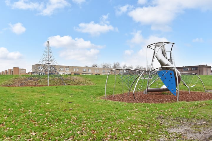 Foto 53 van Mahoniehout 12