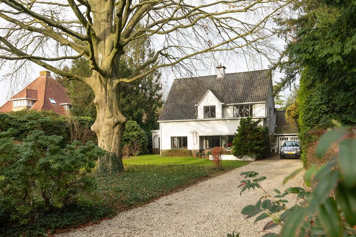 Albertus Perkstraat 66