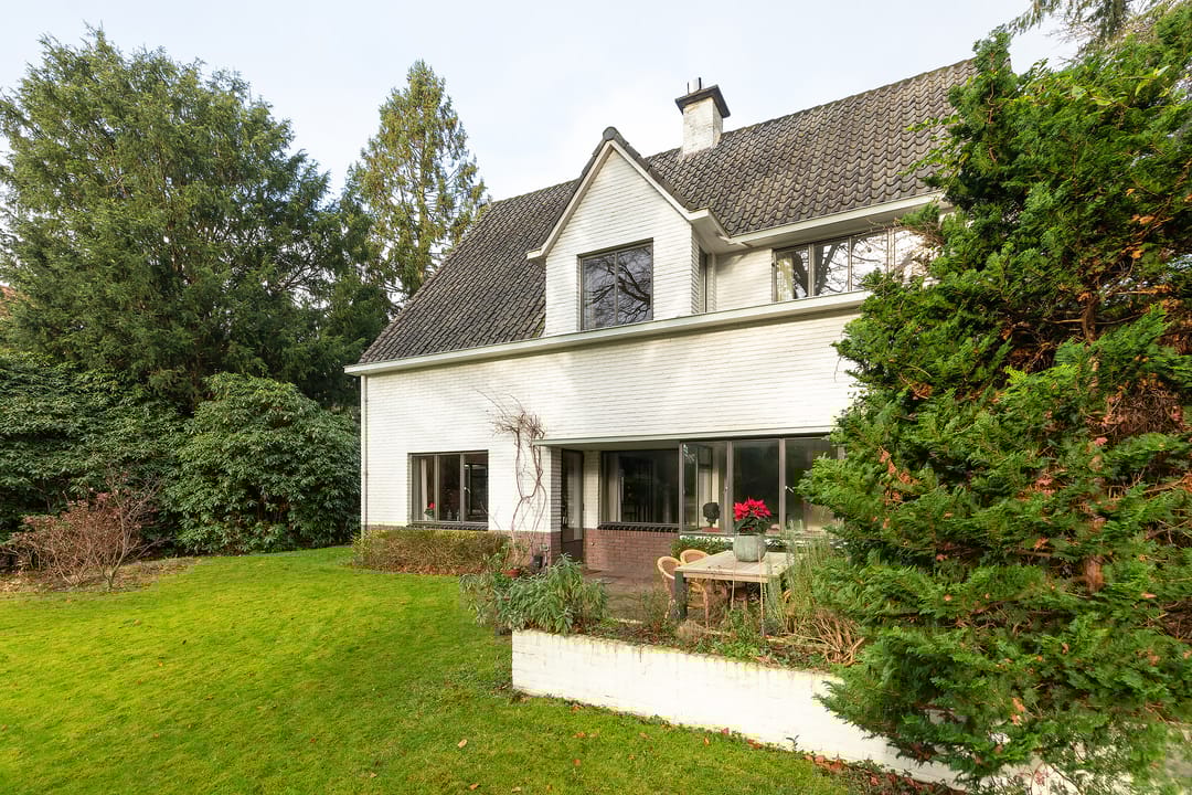 Foto 2 van Albertus Perkstraat 66