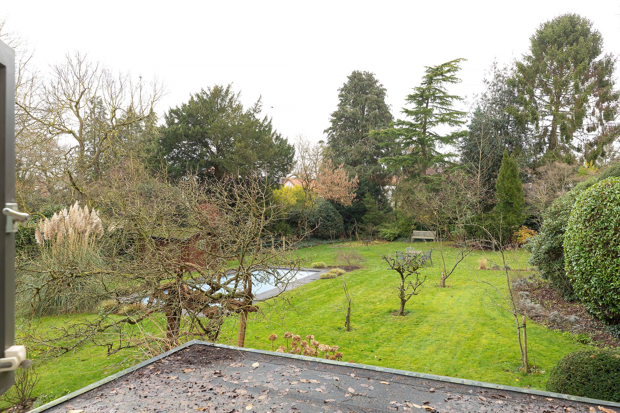 Foto 36 van Albertus Perkstraat 66