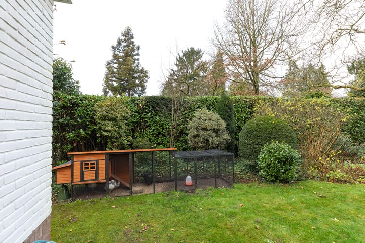 Photo 43 of Albertus Perkstraat 66