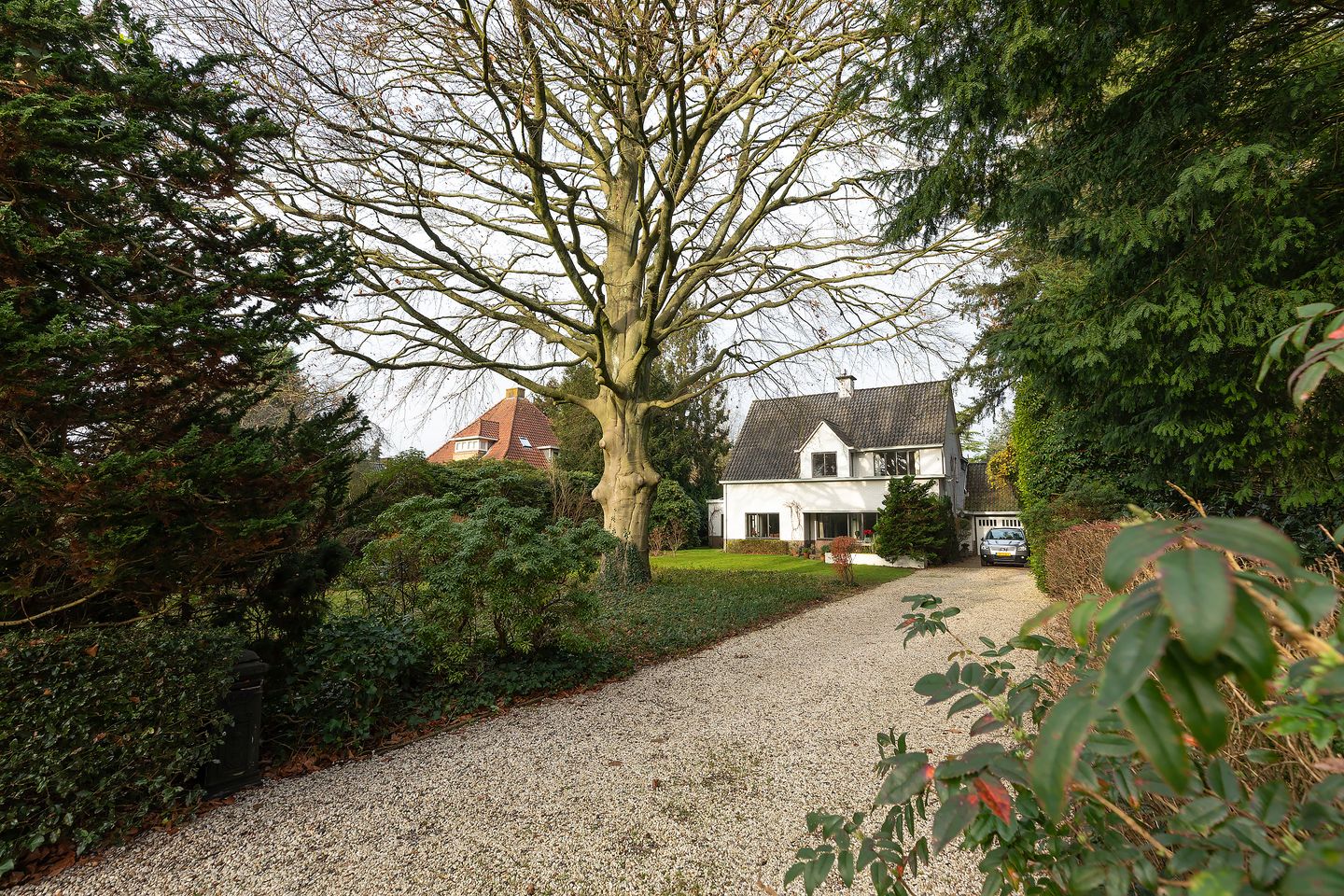 Foto 44 van Albertus Perkstraat 66