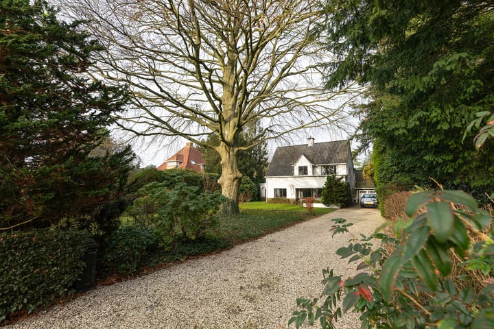 Photo 44 of Albertus Perkstraat 66