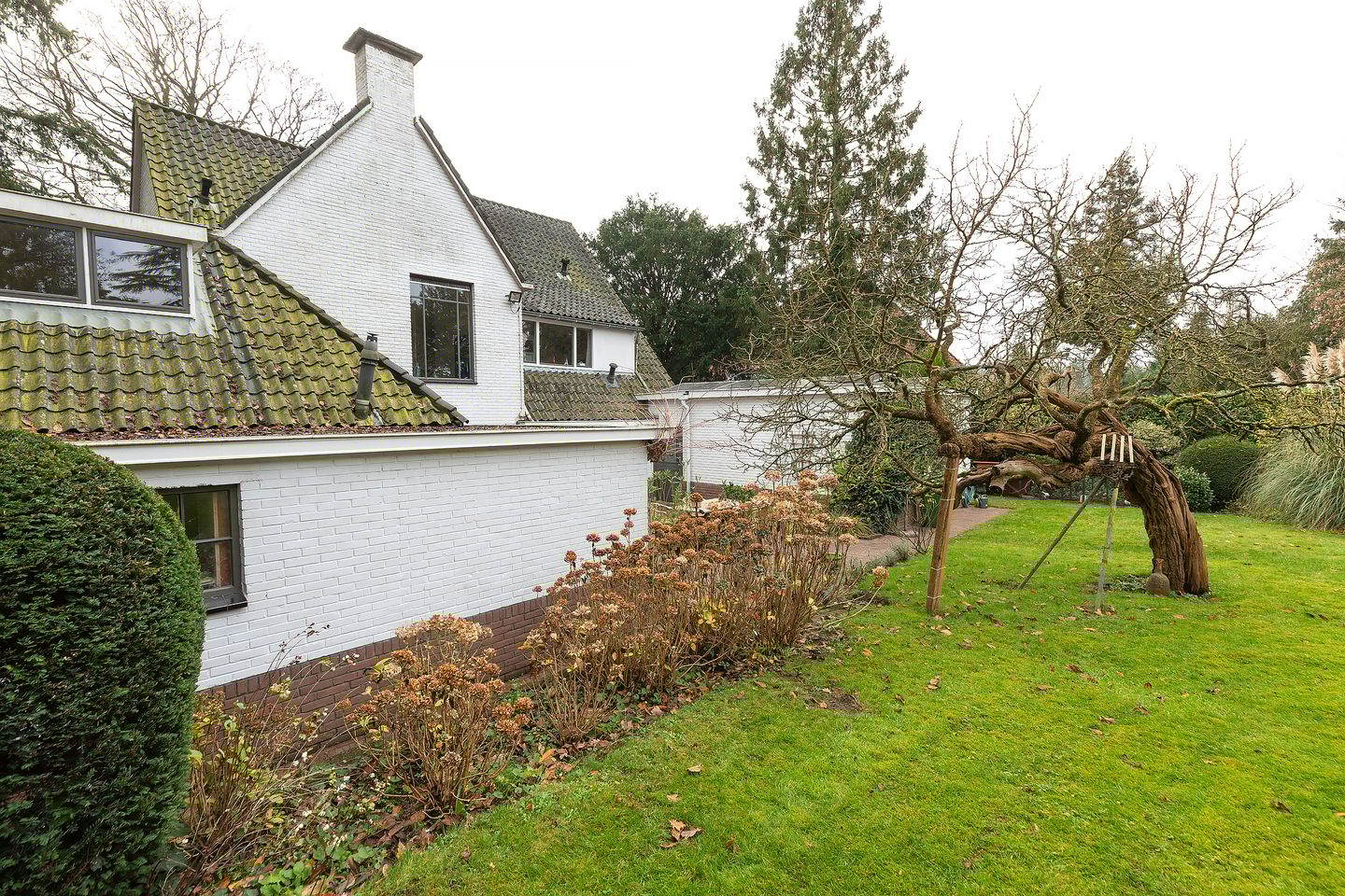 Foto 49 van Albertus Perkstraat 66