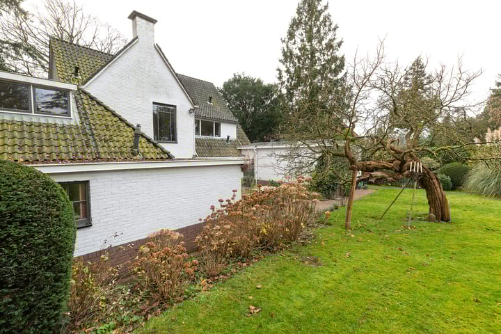 Photo 49 of Albertus Perkstraat 66