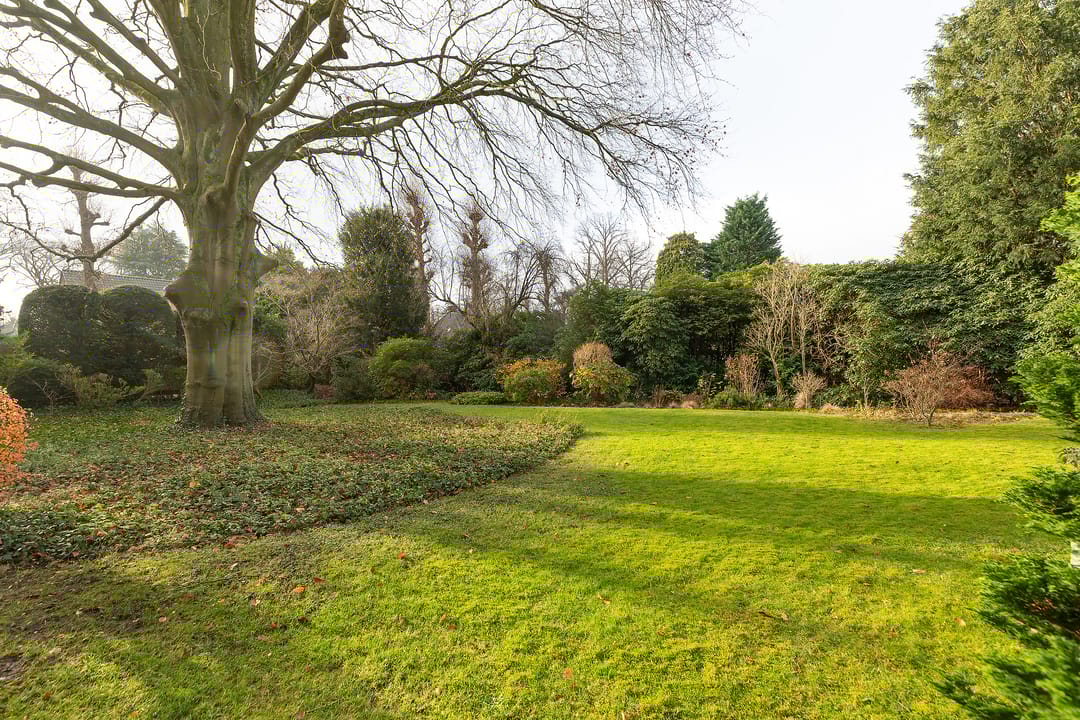 Foto 52 van Albertus Perkstraat 66