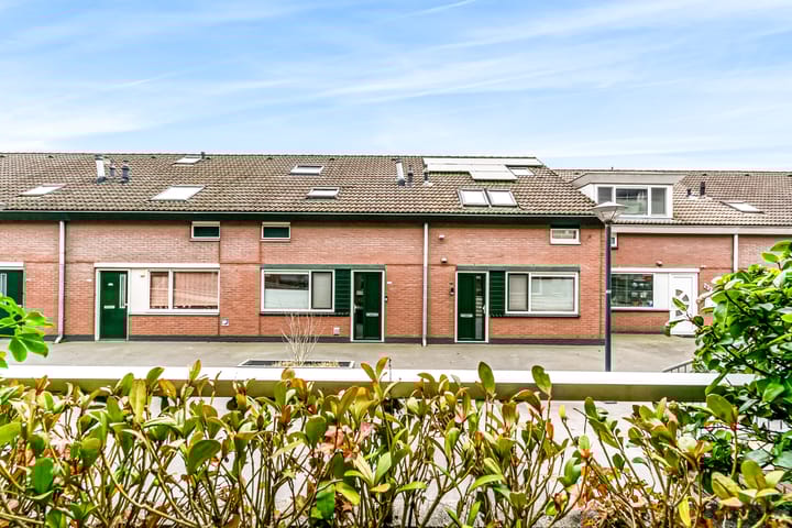 Foto 6 van Poolster 221