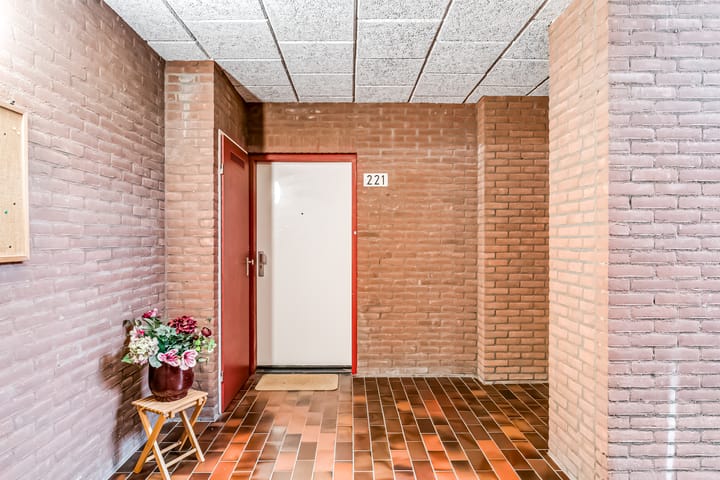 Foto 24 van Poolster 221