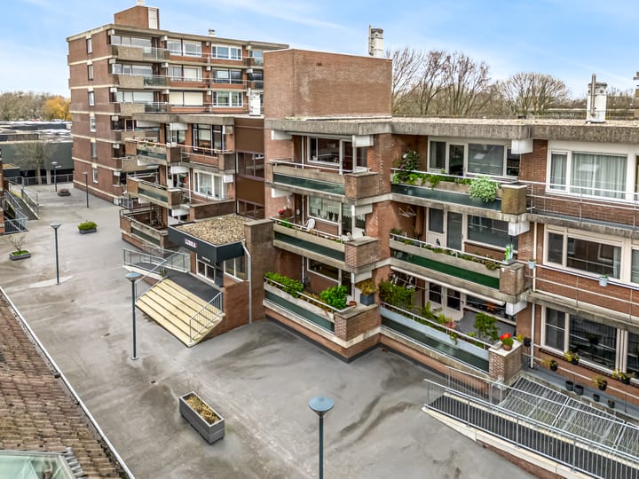 Foto 26 van Poolster 221