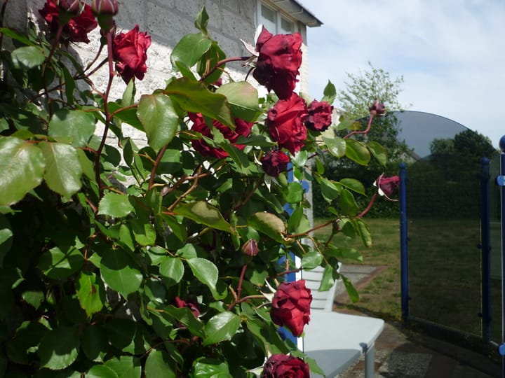 Photo 3 of Ooghduyne 264