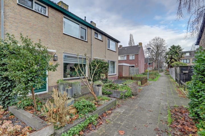 Foto 2 van Hugo de Grootsingel 46