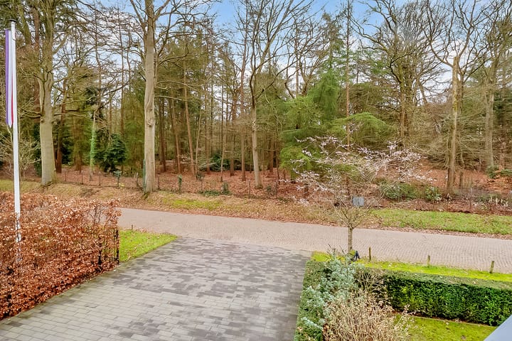 Foto 66 van Oude Rijksstraatweg 2-C