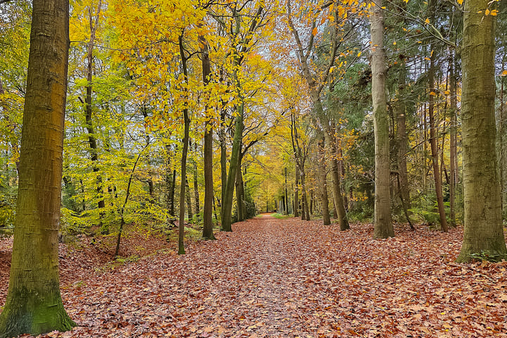 Foto 87 van Oude Rijksstraatweg 2-C