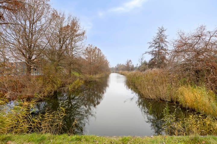 Photo 46 of Holbeinstraat 171