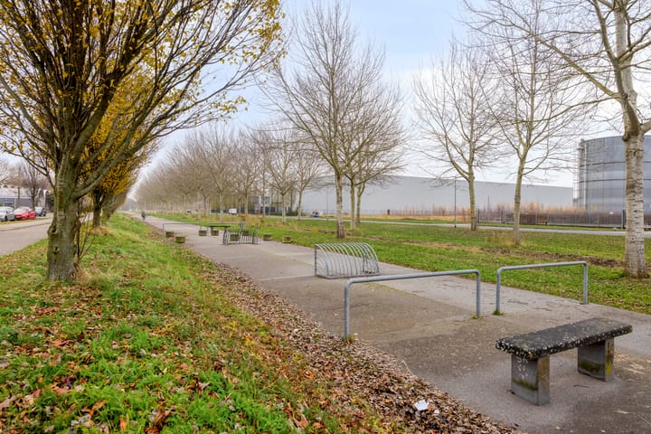 Photo 48 of Holbeinstraat 171