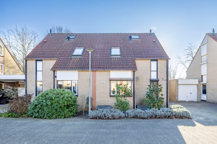 Foto 5 van Muurpeper 6