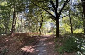 Photo 9 of Bouwkavel Langestraat Braamt kavel 2