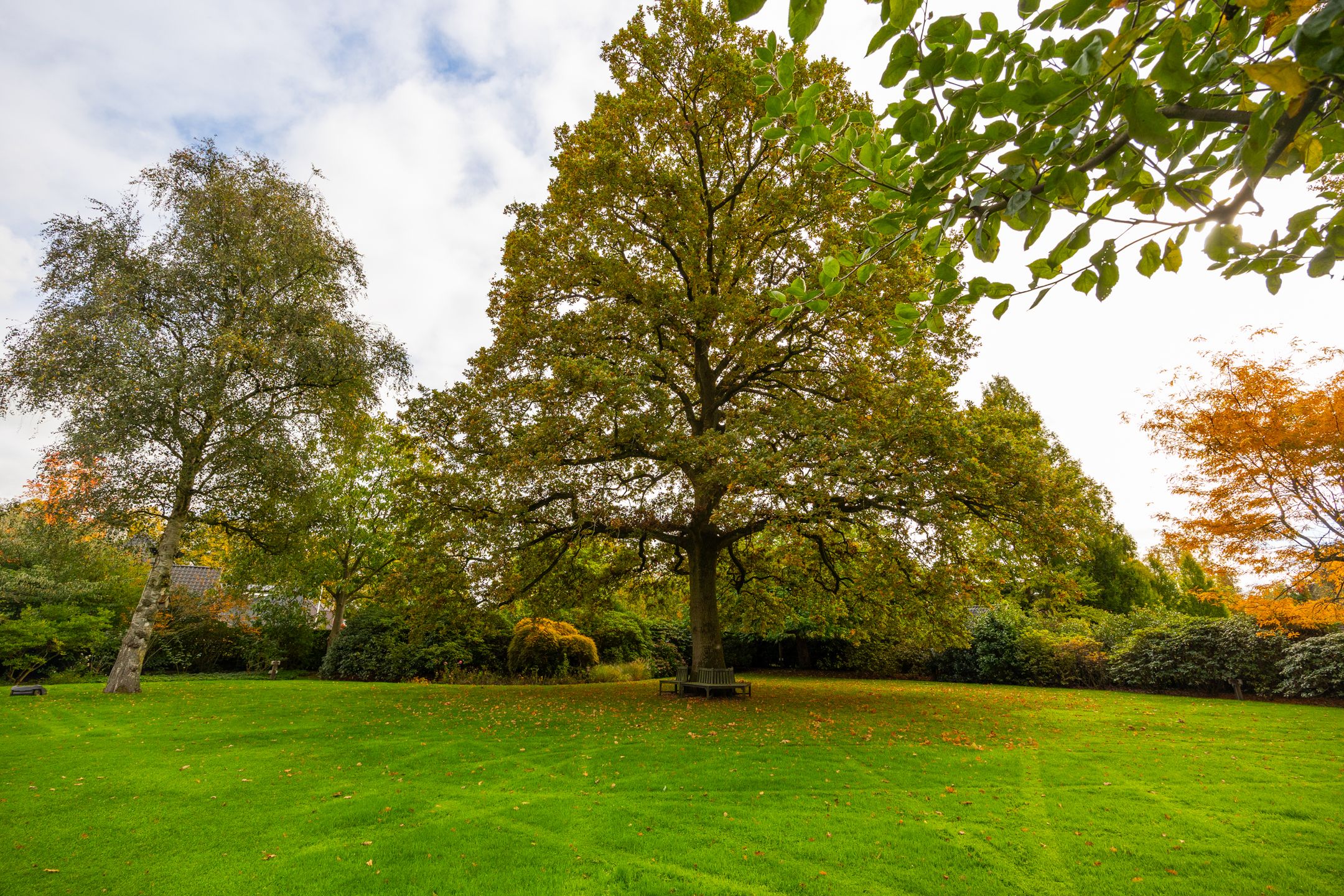 Photo 48 of Engelenburgerlaan 27