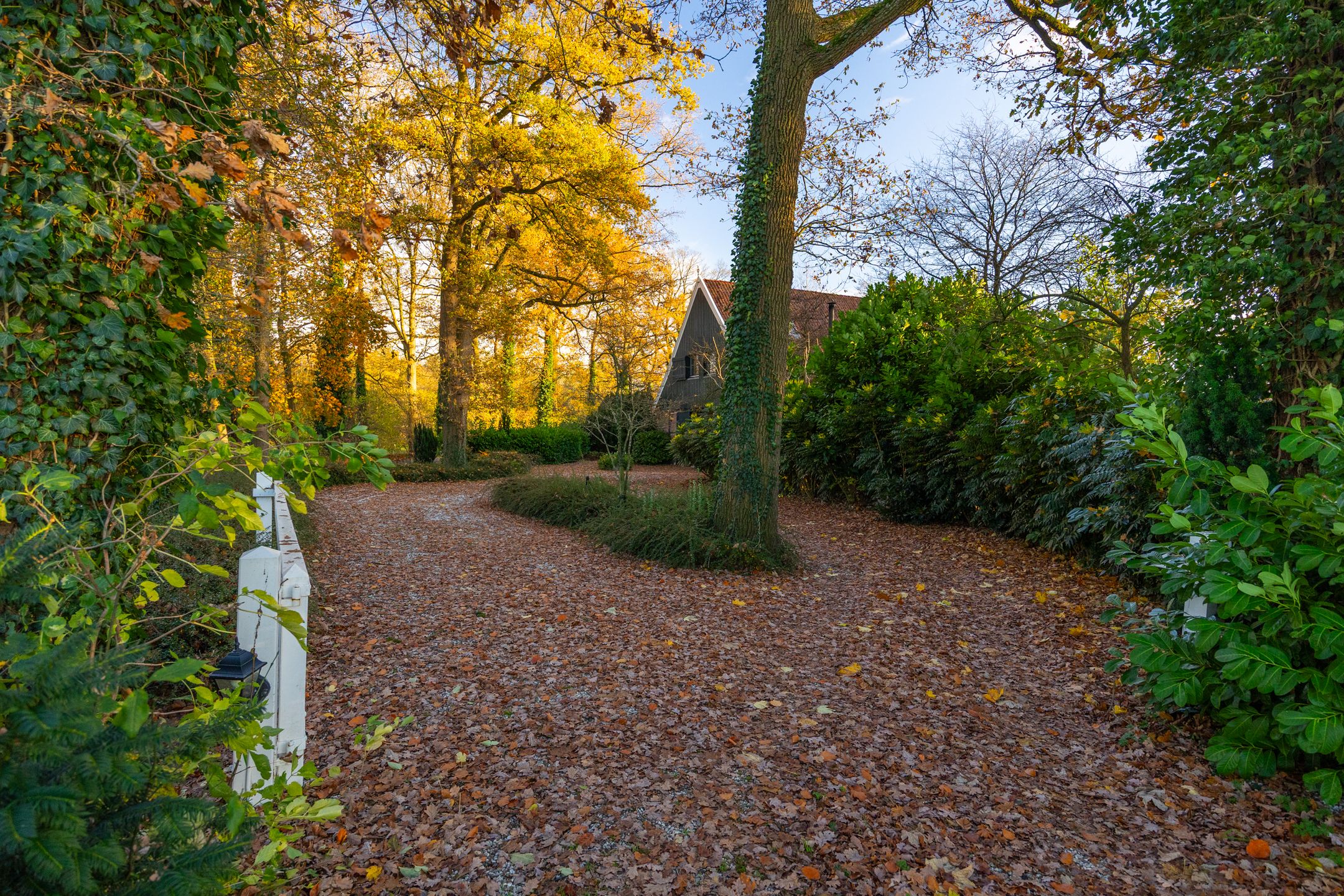 Foto 54 van Burloseweg 44