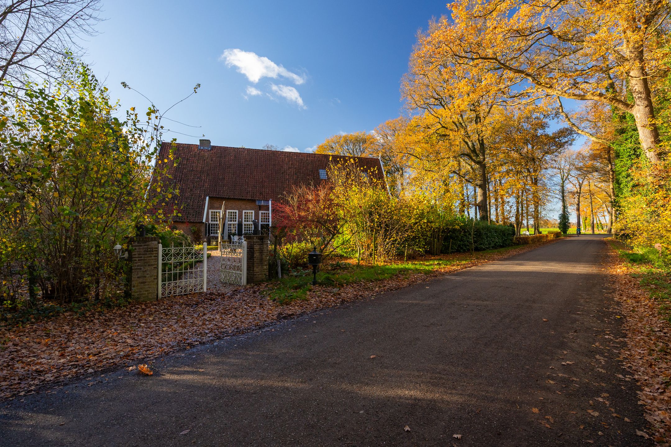 Foto 57 van Burloseweg 44