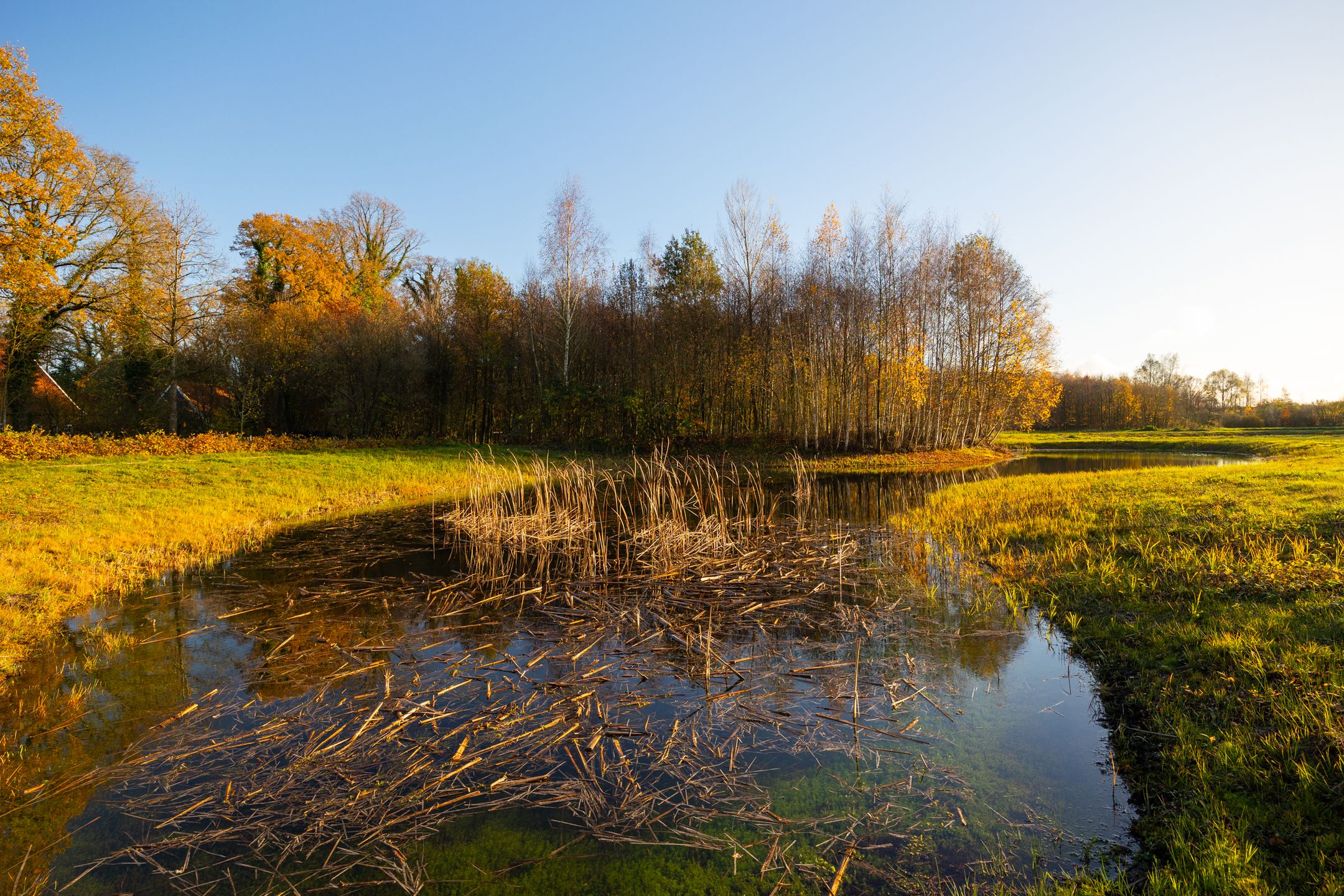 Foto 78 van Burloseweg 44