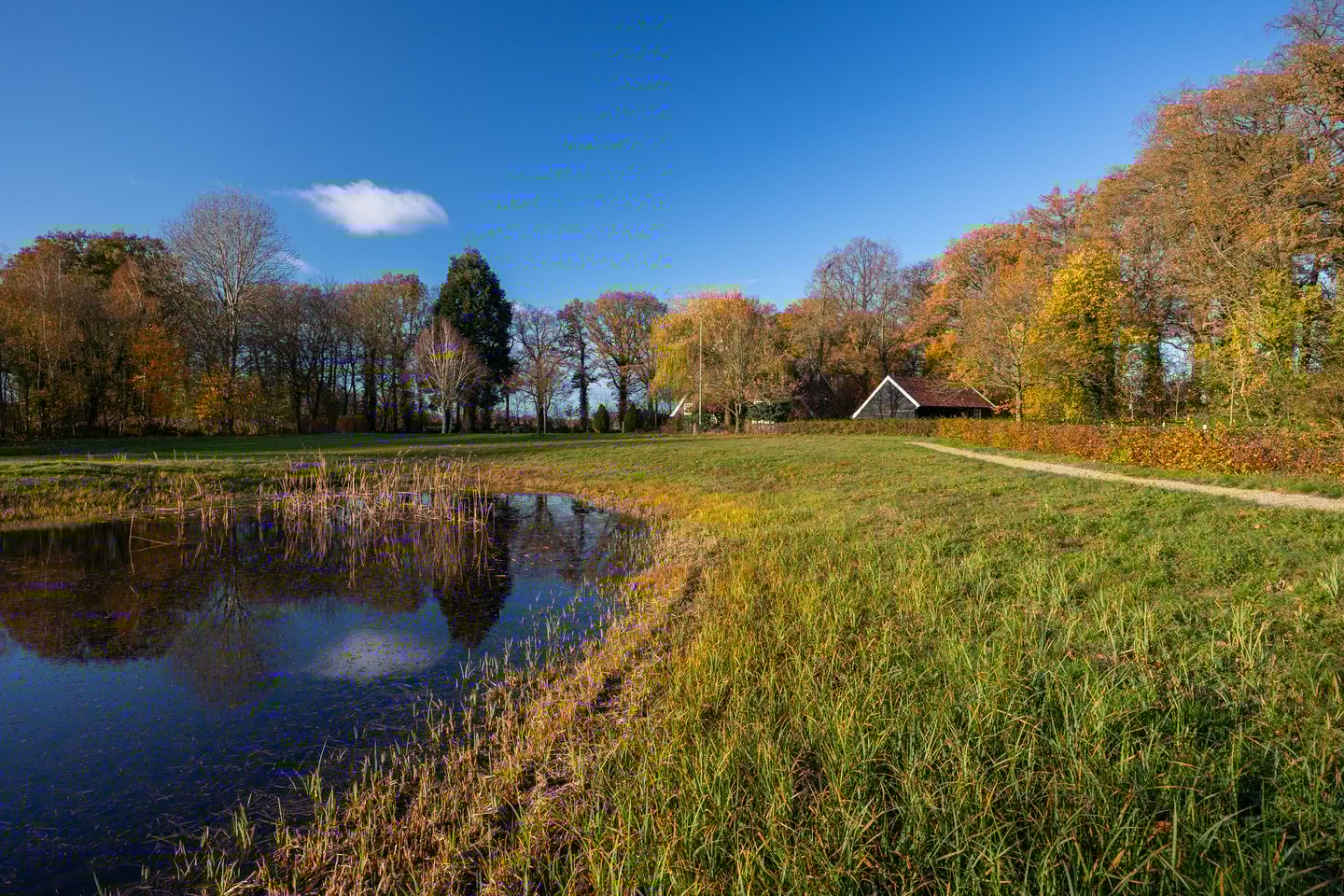 Foto 80 van Burloseweg 44