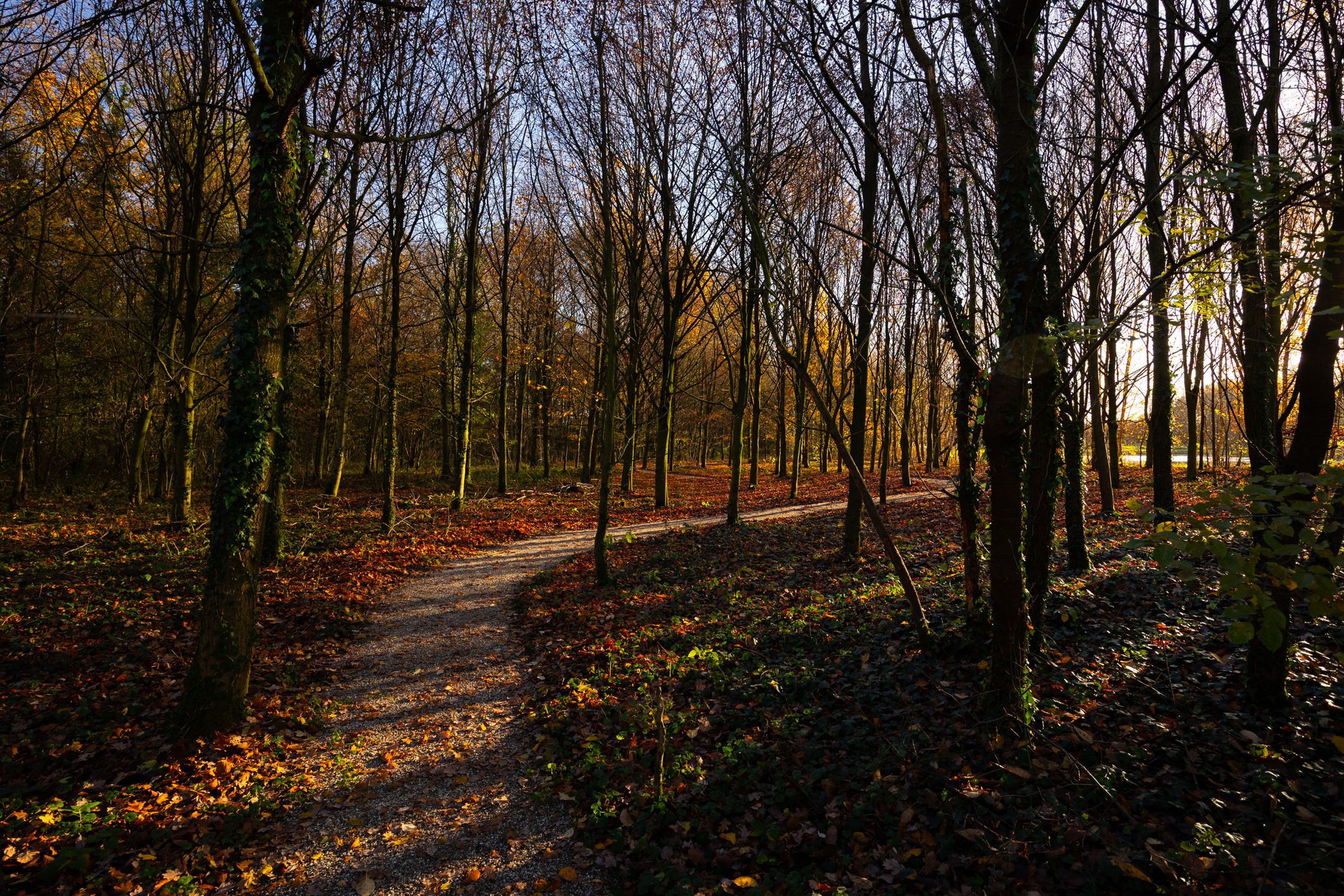 Foto 81 van Burloseweg 44