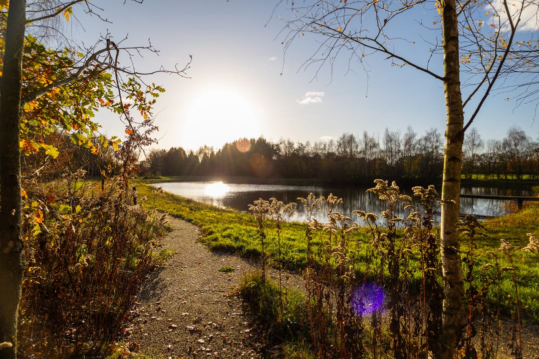 Foto 82 van Burloseweg 44