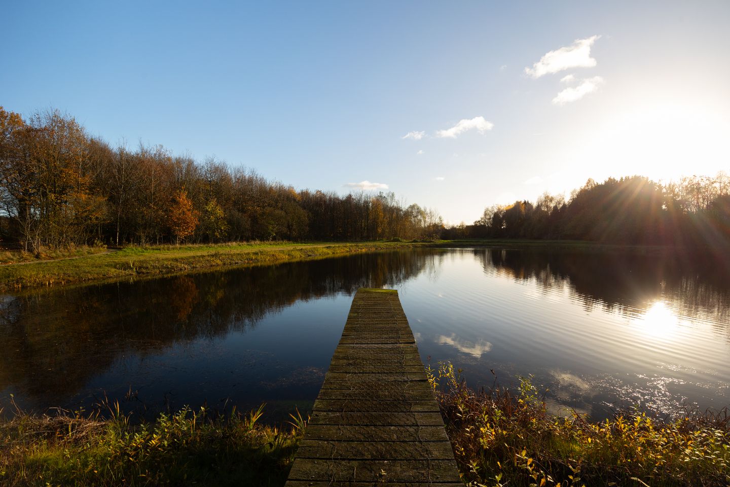 Foto 85 van Burloseweg 44