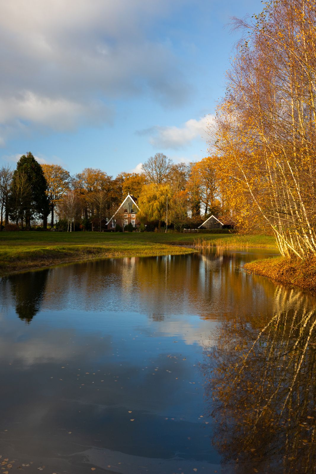 Foto 87 van Burloseweg 44