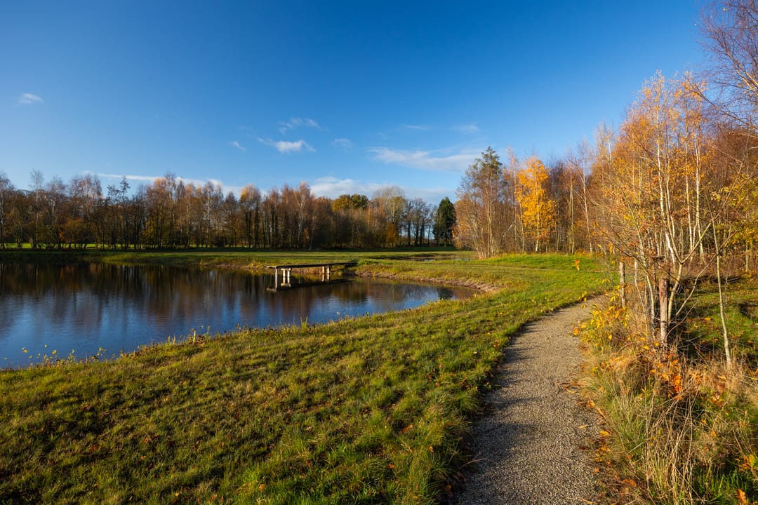 Foto 88 van Burloseweg 44