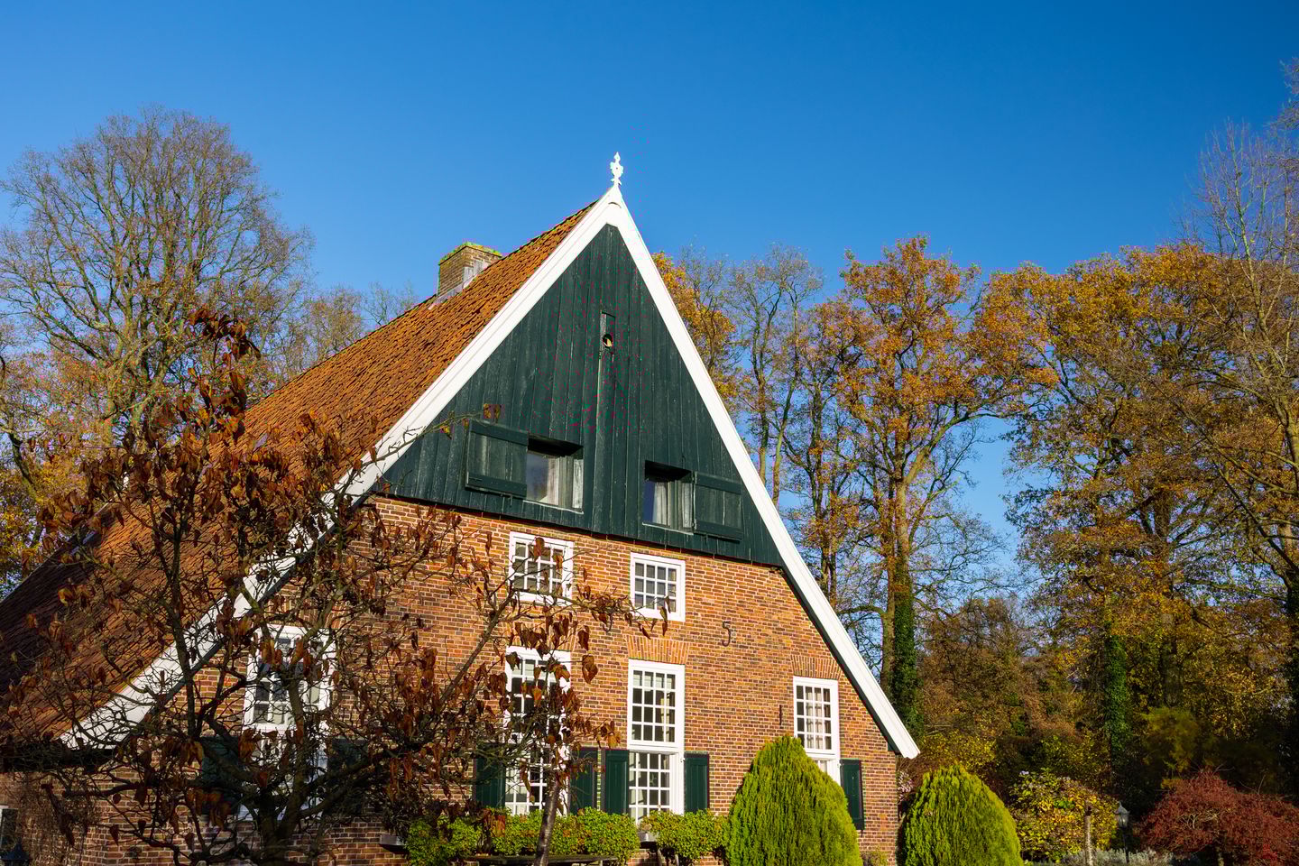 Foto 94 van Burloseweg 44