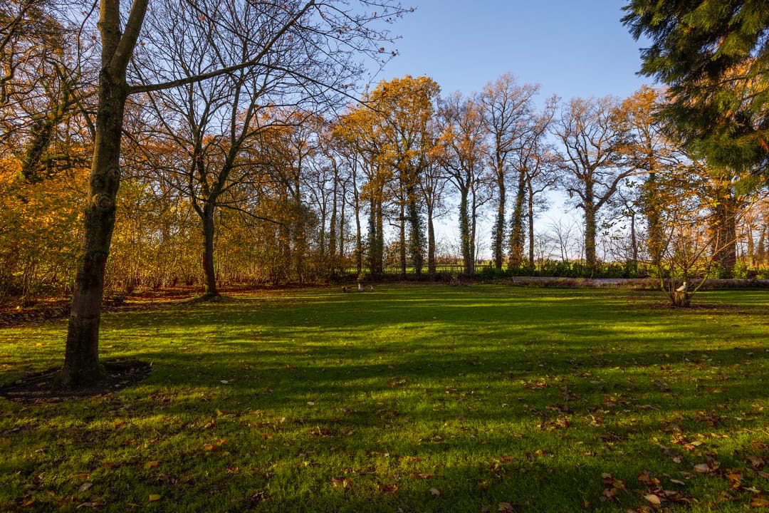 Foto 97 van Burloseweg 44