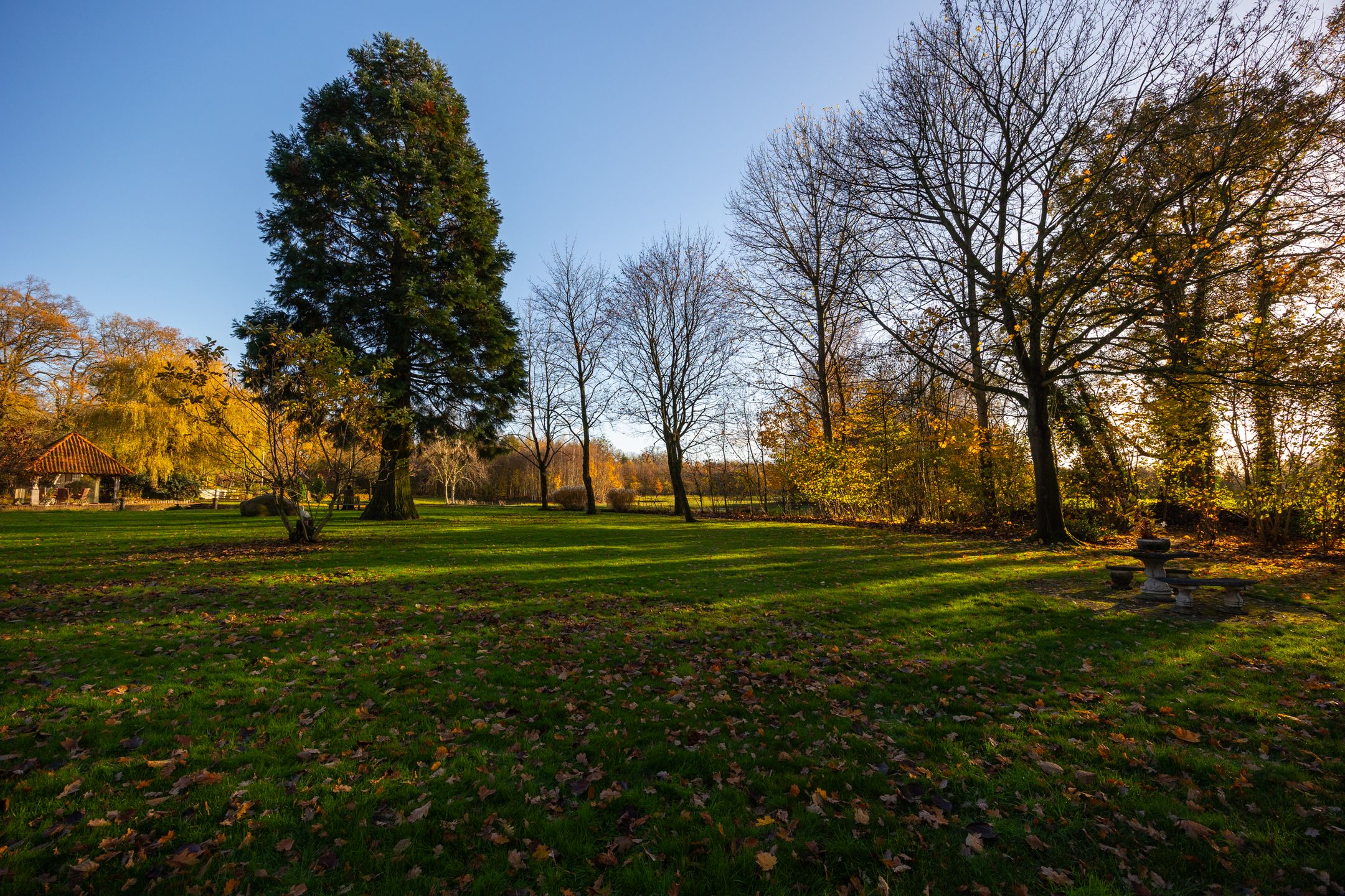 Foto 99 van Burloseweg 44