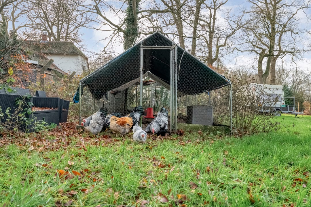 Foto 71 van Oude Zwolsestraat 16